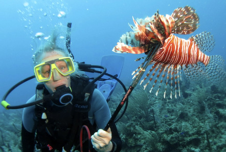 Guest Blog: An introduction to lionfish in Belize