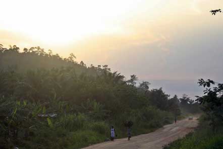 People from Ghana walking along a dirt track next to foliage