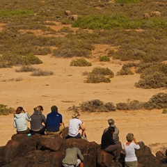 Namibia volunteers tracking elephants