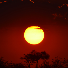 Red African sunset