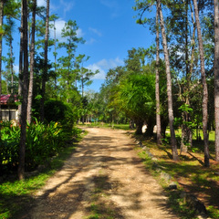 Local road and countryside
