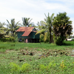 Cambodia rural building