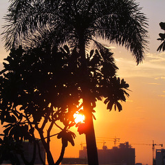 Cambodia sunset