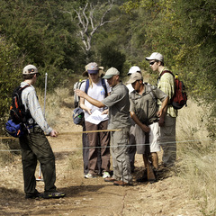 fieldwork Africa