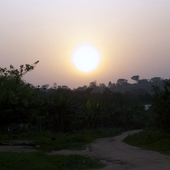 Tropical sunsets