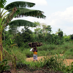 Ghana countryside