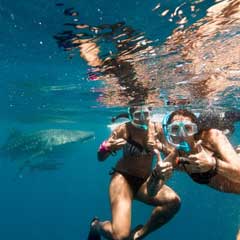 snorkelling