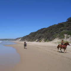 Horse riding on beach