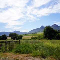 Diverse countryside