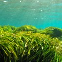 Marine and Coastal Conservation