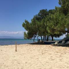 Lots of beaches to explore