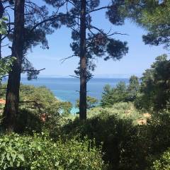 Coastal walks