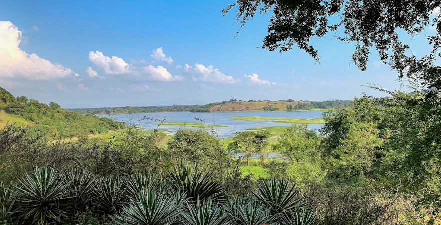 View from volunteer accomodation