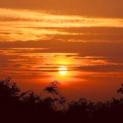 Sunset